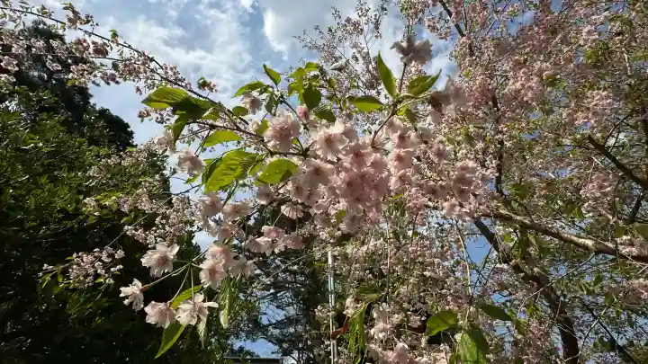 亘理神社(宮城県)