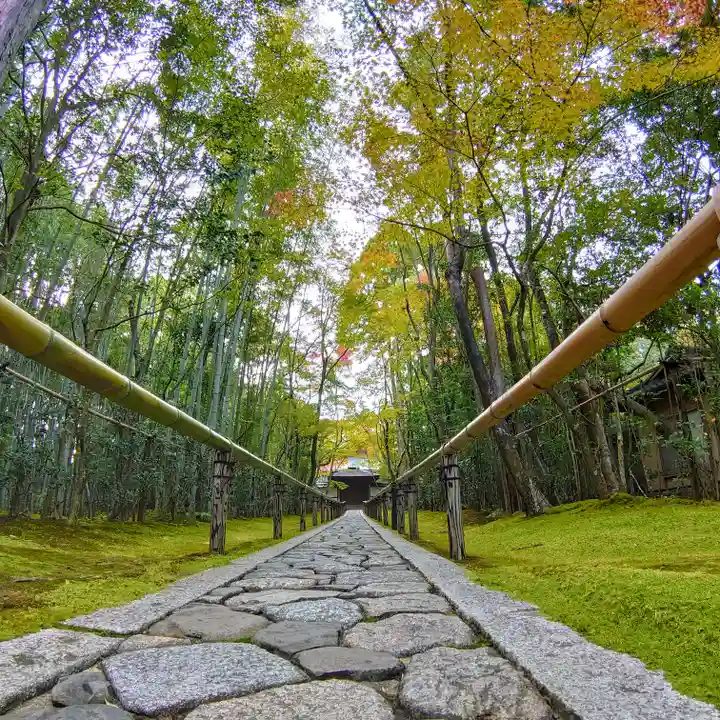 高桐院のその他建物