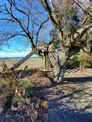 小宅八幡神社の自然