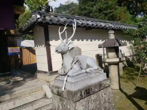 立木神社の狛犬