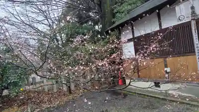 平野神社(京都府)