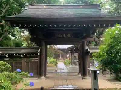 妙楽寺の山門・神門