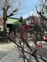 小野照崎神社(東京都)