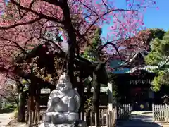 荏原神社の自然