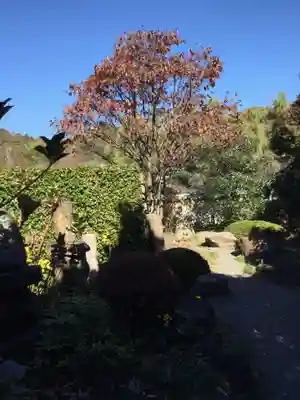 自音寺(群馬県)