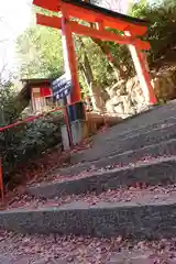 柳谷観音　楊谷寺の鳥居