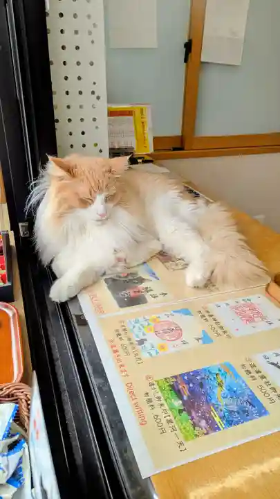駒込妙義神社の動物