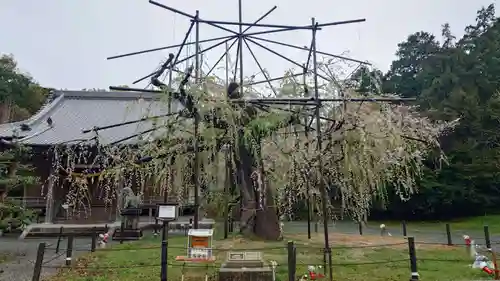 八幡社(愛知県)