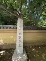 宝珠山 観泉寺の{uncategorized: "未分類", other: "その他", undefined: "問題あり", building: "その他建物", grave: "お墓", sacred_gate: "鳥居", guardian: "狛犬", statue: "像", buddha: "仏像", history: "歴史", nature: "自然", garden: "庭園", animal: "動物", pagoda: "塔", temizu: "手水舎", mountain_gate: "山門・神門", sanctuary: "本殿・本堂", subordinate: "末社・摂社", art: "芸術", scenery: "景色", jizo: "地蔵", ema: "絵馬", goshuin: "御朱印", omikuji: "おみくじ", items: "授与品その他", amulet: "お守り", goshuincho: "御朱印帳", eats: "食事", festival: "お祭り", votive_dance: "神楽", shichigosan: "七五三参", wedding: "結婚式", experience: "体験その他", initially: "初詣", around: "周辺", anti_infection: "感染症対策"}