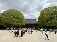 明治神宮の{uncategorized: "未分類", other: "その他", undefined: "問題あり", building: "その他建物", grave: "お墓", sacred_gate: "鳥居", guardian: "狛犬", statue: "像", buddha: "仏像", history: "歴史", nature: "自然", garden: "庭園", animal: "動物", pagoda: "塔", temizu: "手水舎", mountain_gate: "山門・神門", sanctuary: "本殿・本堂", subordinate: "末社・摂社", art: "芸術", scenery: "景色", jizo: "地蔵", ema: "絵馬", goshuin: "御朱印", omikuji: "おみくじ", items: "授与品その他", amulet: "お守り", goshuincho: "御朱印帳", eats: "食事", festival: "お祭り", votive_dance: "神楽", shichigosan: "七五三参", wedding: "結婚式", experience: "体験その他", initially: "初詣", around: "周辺", anti_infection: "感染症対策"}