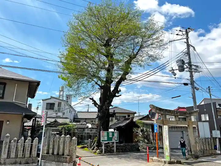 男山八幡宮のその他建物