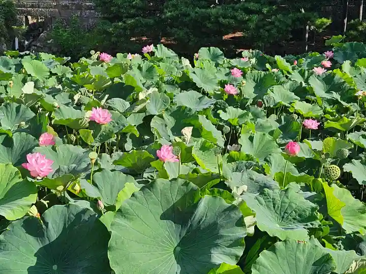 善光寺大勧進(長野県)