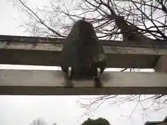 諏訪神社の建物その他