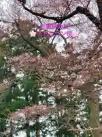 神炊館神社 ⁂奥州須賀川総鎮守⁂(福島県)