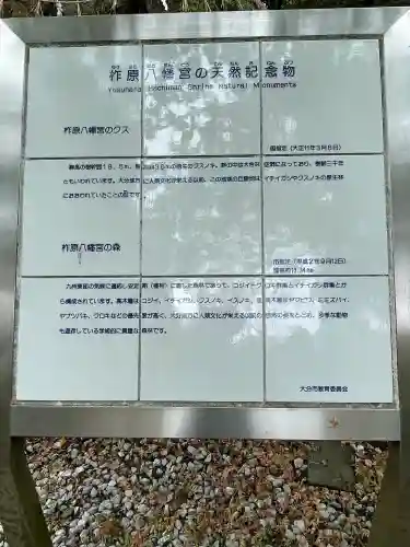 柞原八幡宮の{uncategorized: "未分類", other: "その他", undefined: "問題あり", building: "その他建物", grave: "お墓", sacred_gate: "鳥居", guardian: "狛犬", statue: "像", buddha: "仏像", history: "歴史", nature: "自然", garden: "庭園", animal: "動物", pagoda: "塔", temizu: "手水舎", mountain_gate: "山門・神門", sanctuary: "本殿・本堂", subordinate: "末社・摂社", art: "芸術", scenery: "景色", jizo: "地蔵", ema: "絵馬", goshuin: "御朱印", omikuji: "おみくじ", items: "授与品その他", amulet: "お守り", goshuincho: "御朱印帳", eats: "食事", festival: "お祭り", votive_dance: "神楽", shichigosan: "七五三参", wedding: "結婚式", experience: "体験その他", initially: "初詣", around: "周辺", anti_infection: "感染症対策"}