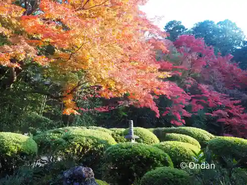 詩仙堂（丈山寺）の庭園