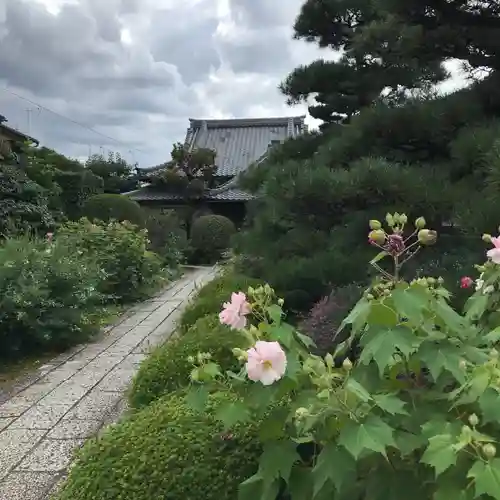 地蔵院（椿寺）のその他建物