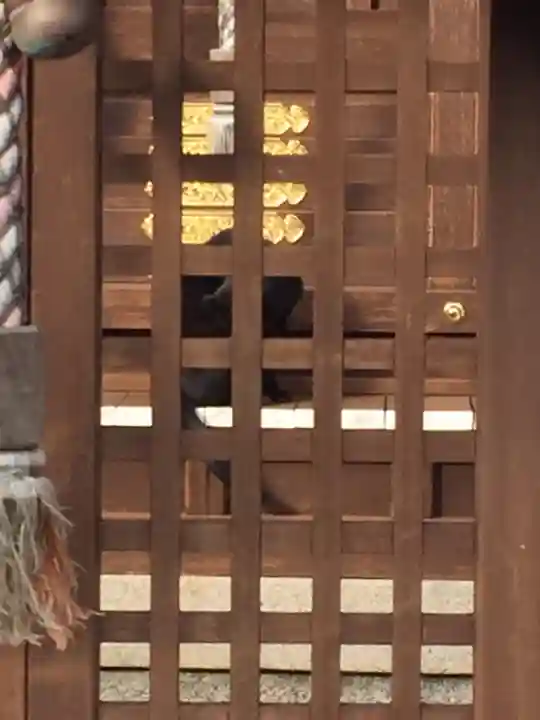 蛭子神社の動物