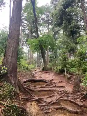 高麗神社(埼玉県)