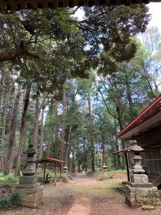 第六神社の自然
