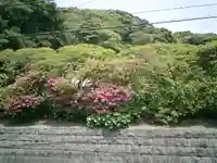 安養院 (田代寺)の自然