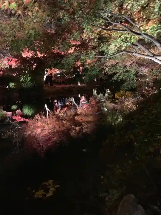 東寺(教王護国寺)の景色