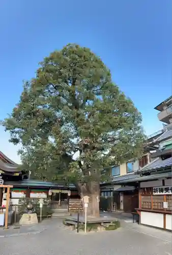 晴明神社(京都府)