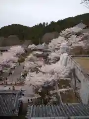 南法華寺（壷阪寺）の仏像