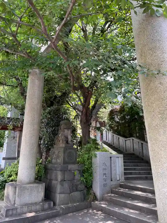 雉子神社の自然