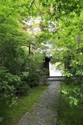 善法律寺(京都府)