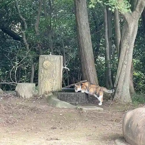 玉野御嶽神社(愛知県)