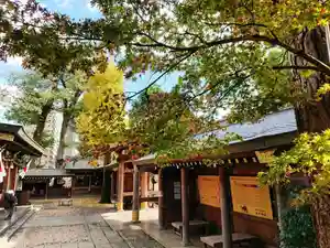 鳩ヶ谷氷川神社のその他建物(2021年11月25日(木) 20時36分59秒投稿)