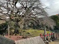 西善寺の建物その他