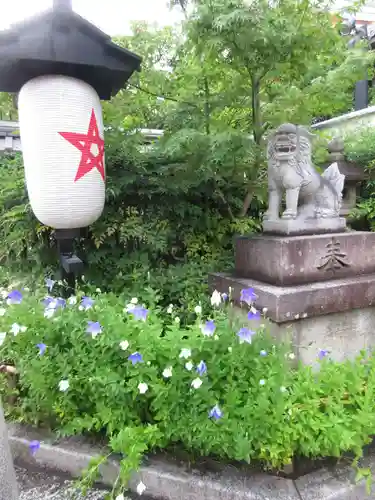 晴明神社の狛犬