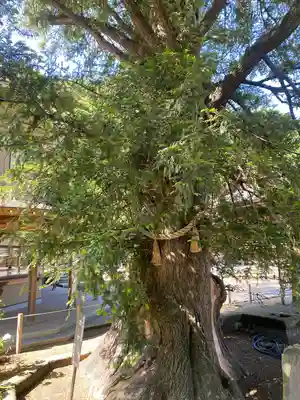 瀬戸神社(神奈川県)