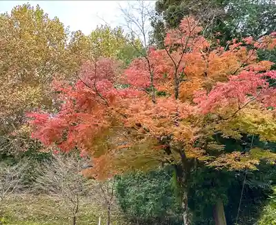 大安禅寺(福井県)