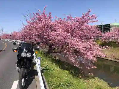 鷲宮神社(埼玉県)