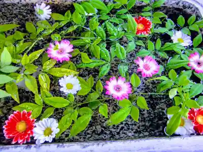 祖母井神社の手水舎