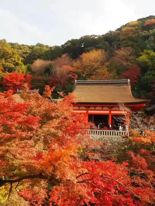 清水寺(京都府)