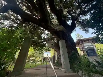 城願寺(神奈川県)