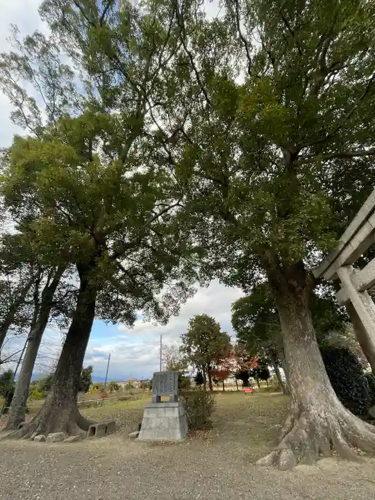 子守神社(滋賀県)