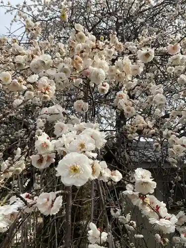 慈眼寺(愛知県)