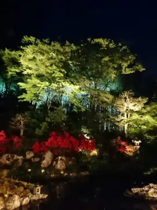 青蓮院門跡の自然