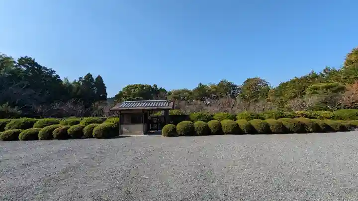 隨心院(随心院)(京都府)