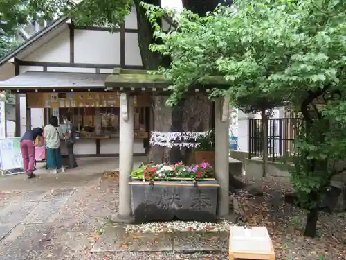 上目黒氷川神社の手水舎