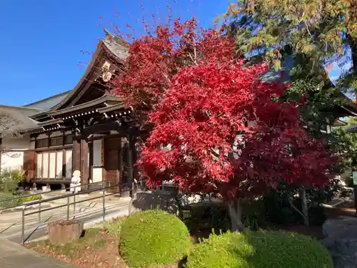 全徳寺(埼玉県)