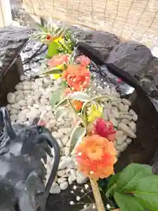 厚別神社(北海道)(2023年04月08日(土) 14時47分07秒投稿)