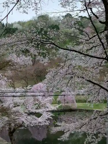 蒼柴神社(新潟県)