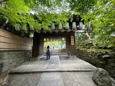 高台寺(高台寿聖禅寺・高臺寺)(京都府)