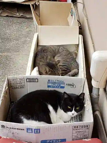 白金氷川神社(東京都)